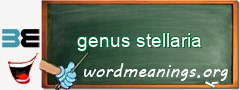 WordMeaning blackboard for genus stellaria